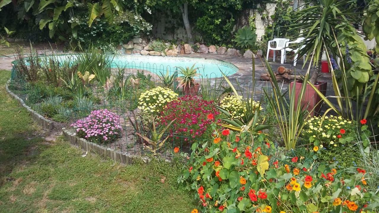 11 Lucius Way Daire Cape Town Dış mekan fotoğraf