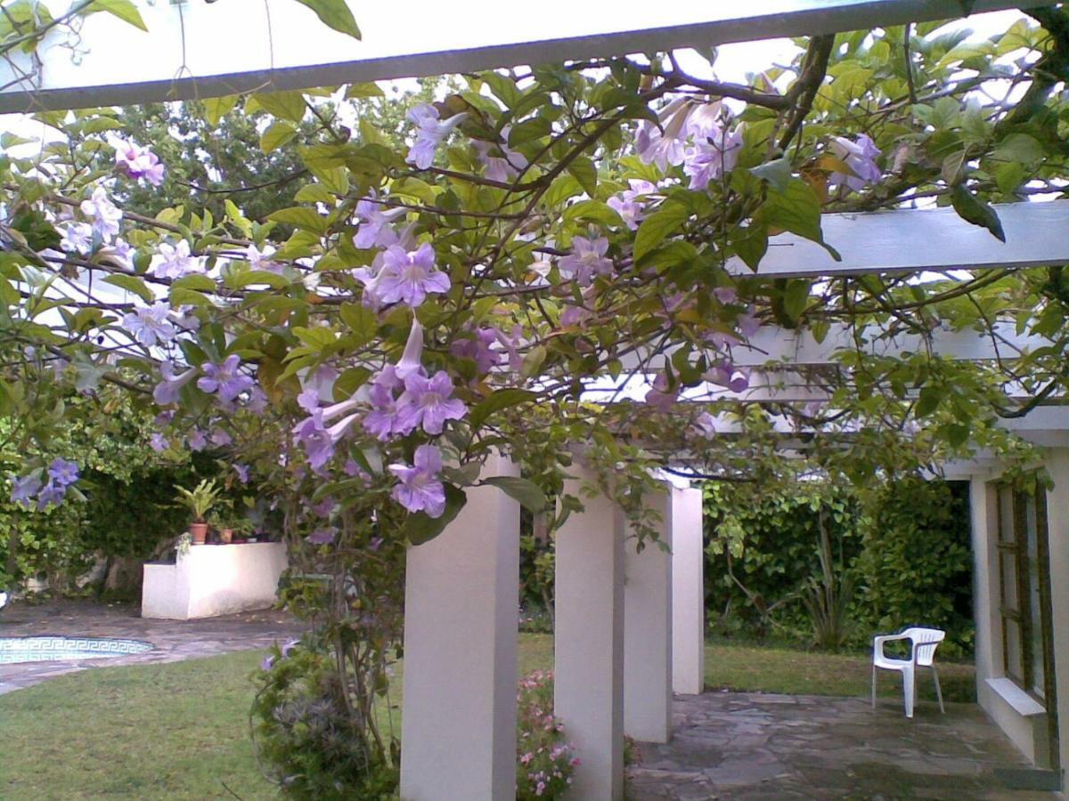 11 Lucius Way Daire Cape Town Dış mekan fotoğraf