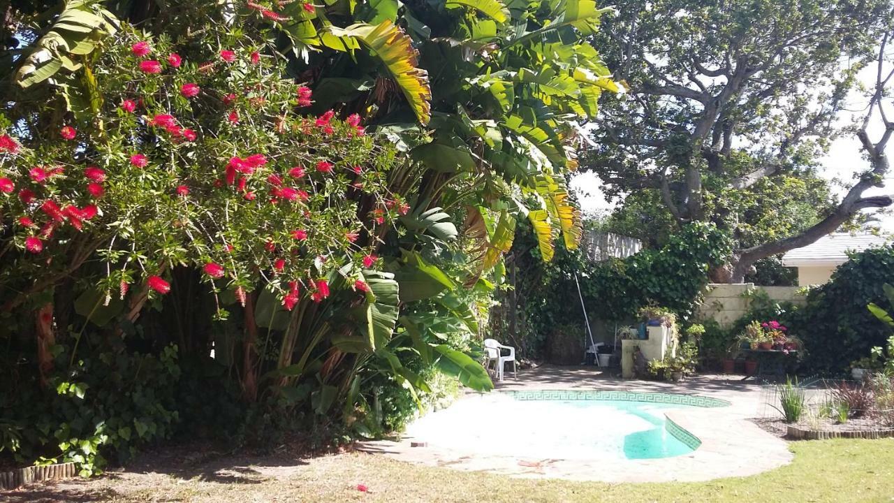 11 Lucius Way Daire Cape Town Dış mekan fotoğraf